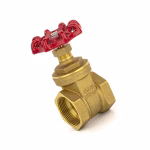 GI GATE VALVE & GLOBE VALVE